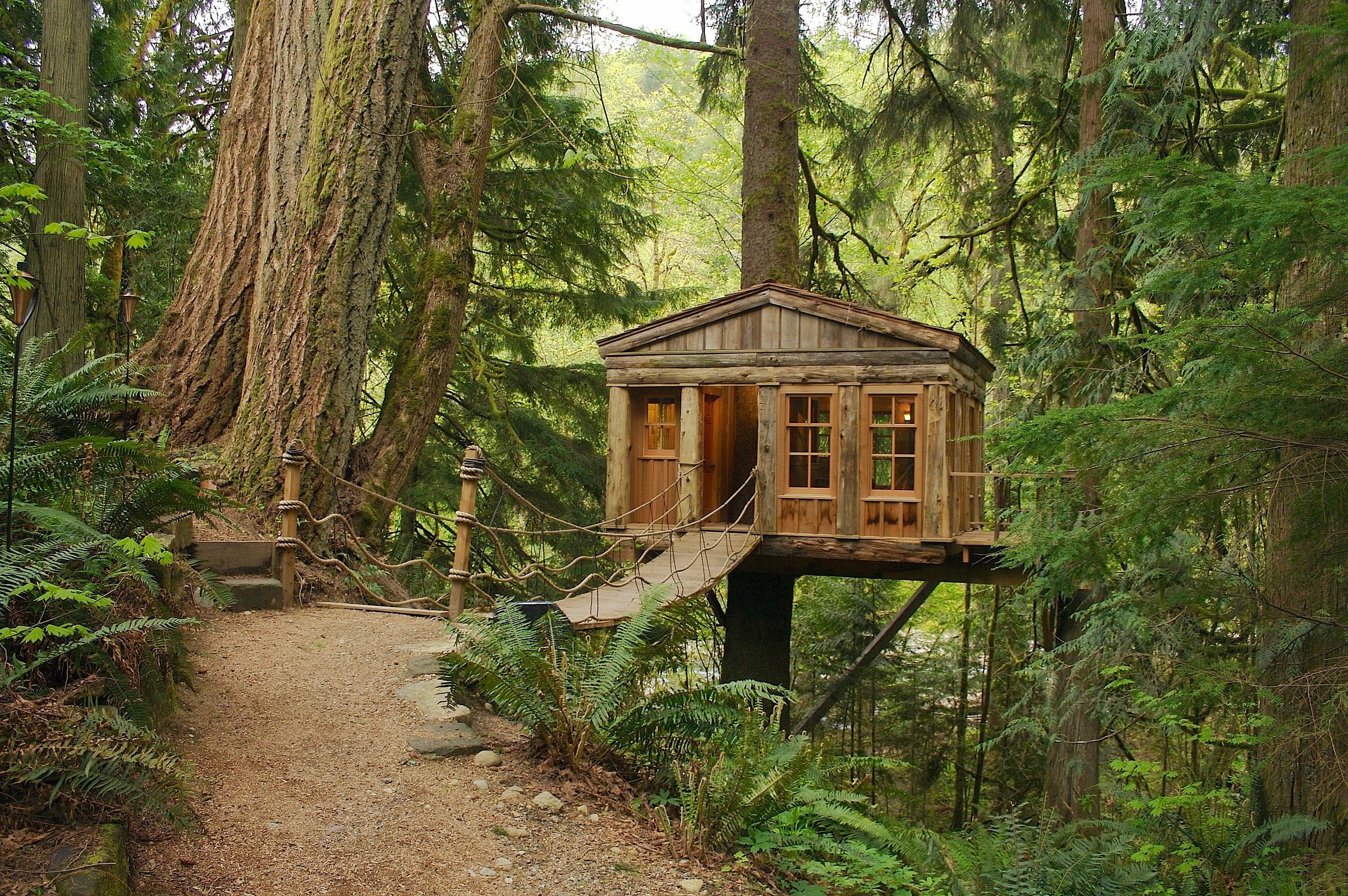 Unique Treehouse Rentals in the United States