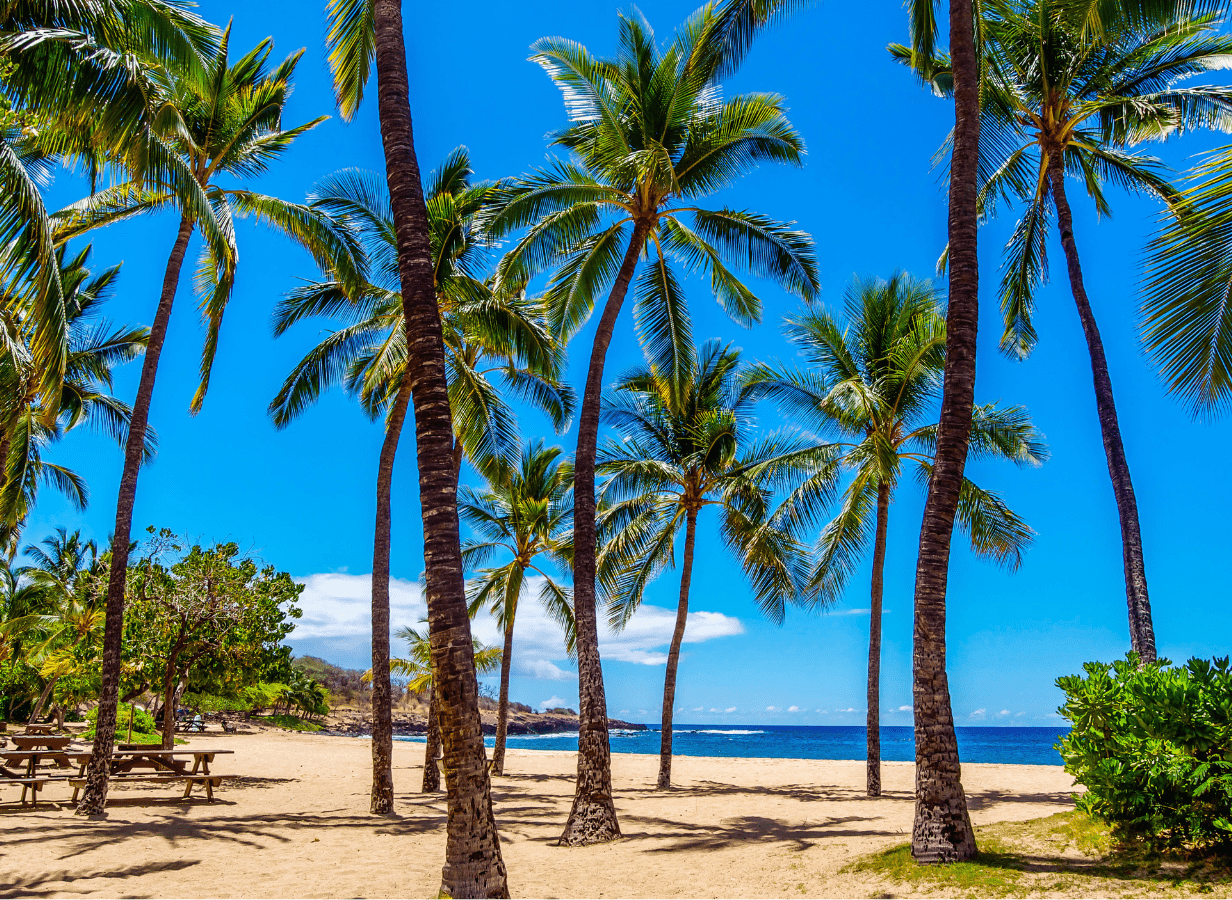 Which Hawaiian Island Should You Visit?